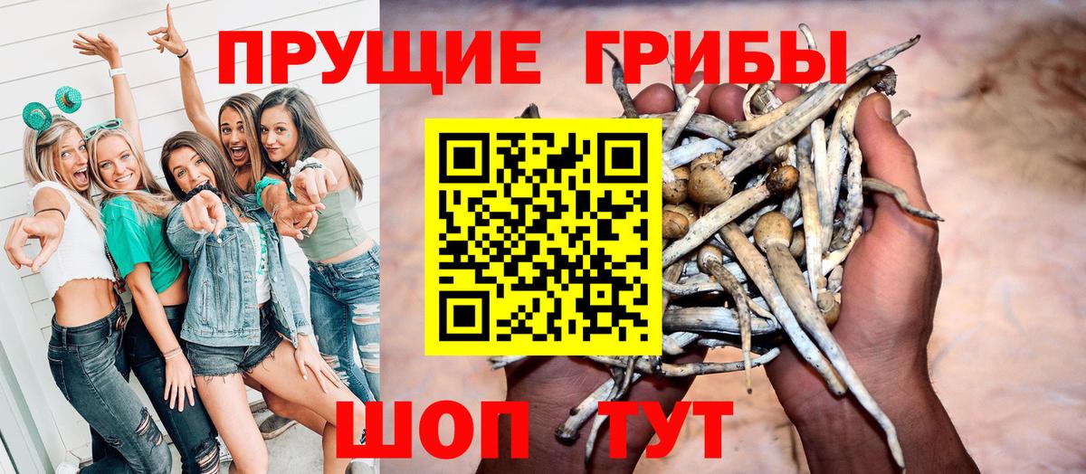 Галлюциногенные грибы прущие грибы Ишимбай